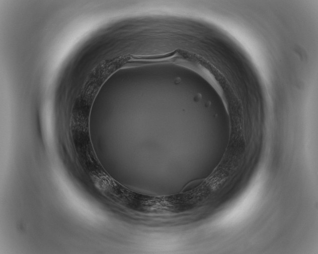 X0000113600239200909181358