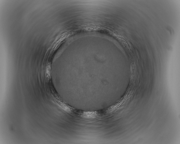 X0000113600240200909181358