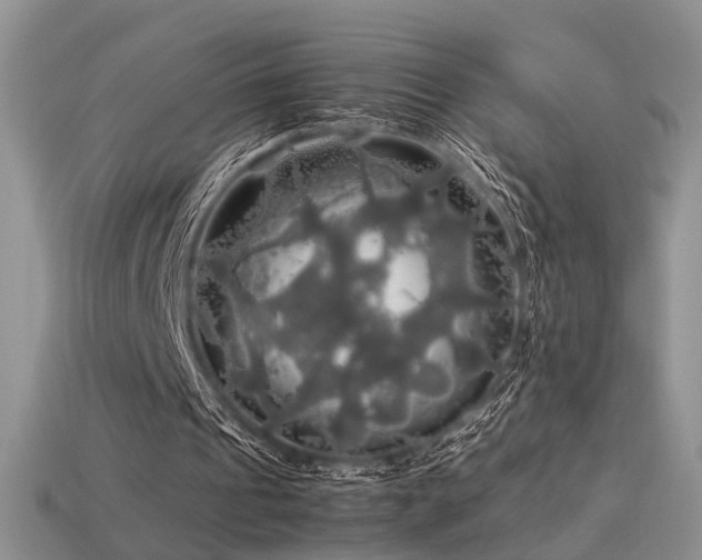 X0000113600241200909181357