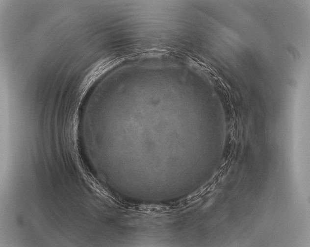 X0000113600242200909181357