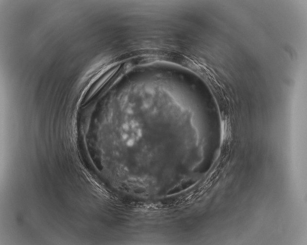 X0000113600243200909181357