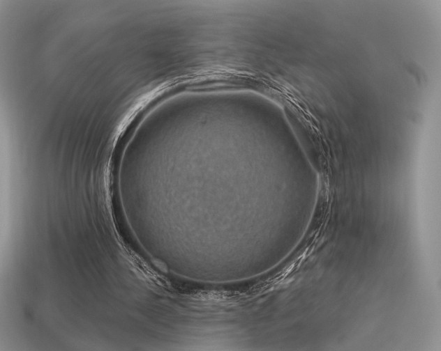 X0000113600244200909181357