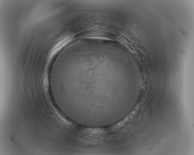 X0000113600245200909181357