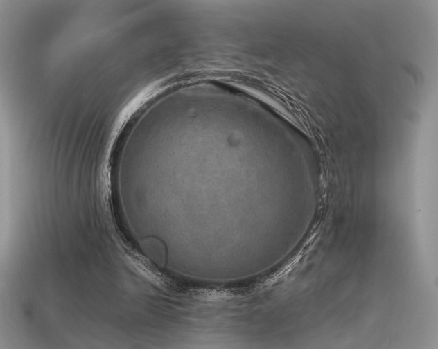 X0000113600246200909181357