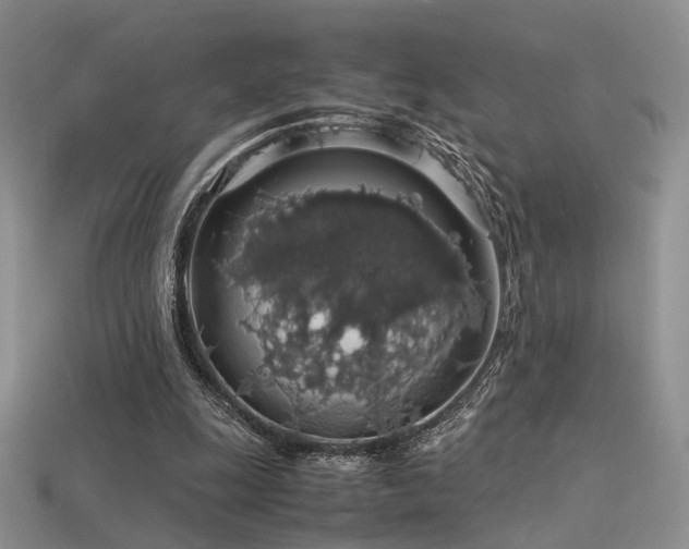 X0000113600247200909181358