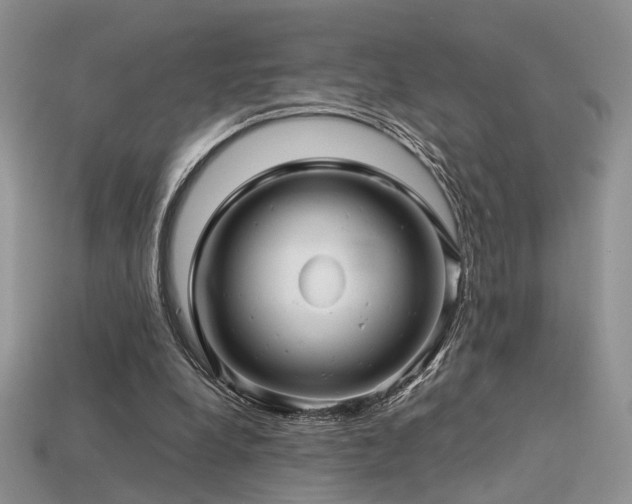 X0000113600248200909181358