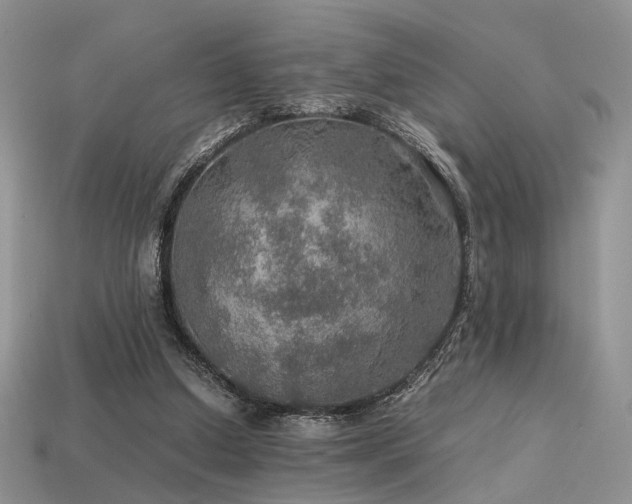 X0000113600250200909181358