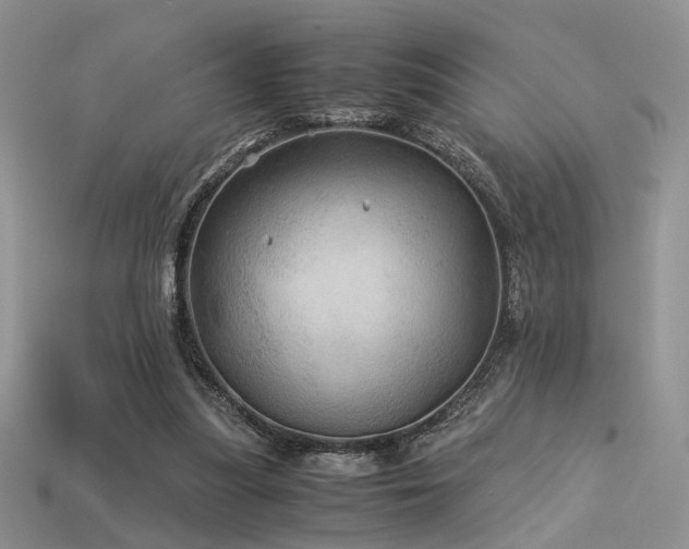 X0000113600251200909181358