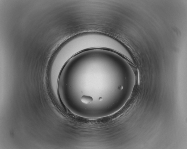 X0000113600252200909181358