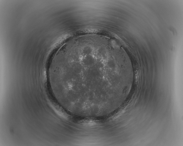 X0000113600254200909181358