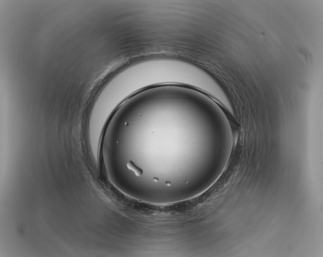 X0000113600256200909181358