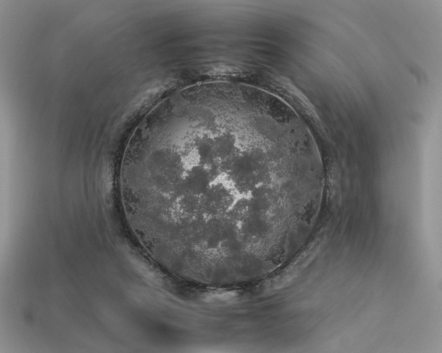 X0000113600257200909181358