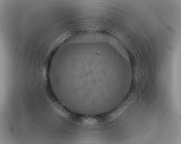 X0000113600258200909181358