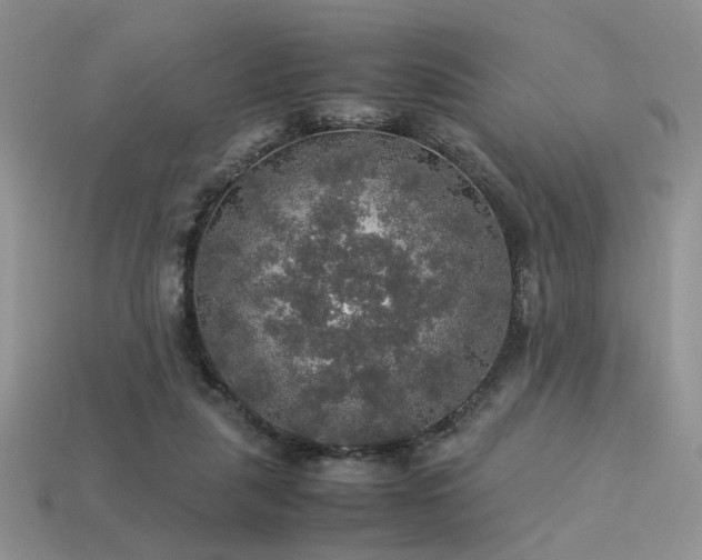 X0000113600259200909181358