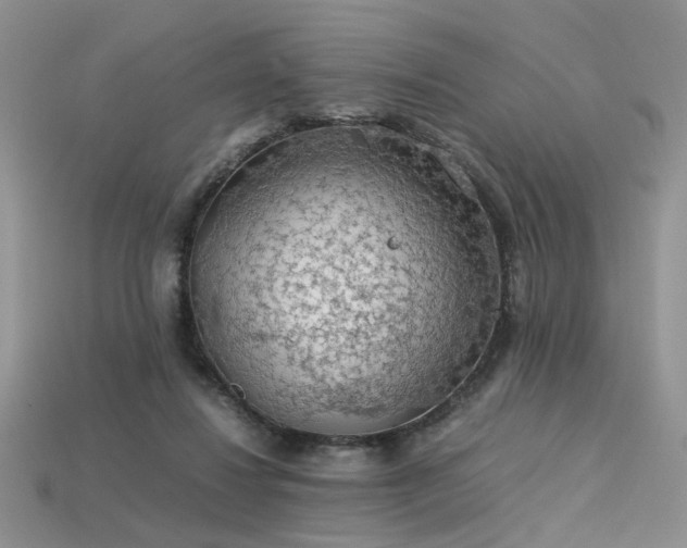 X0000113600260200909181358