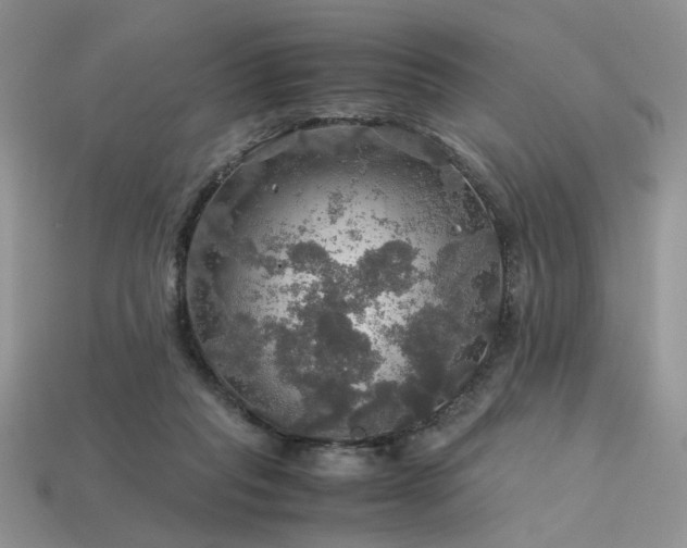 X0000113600261200909181358