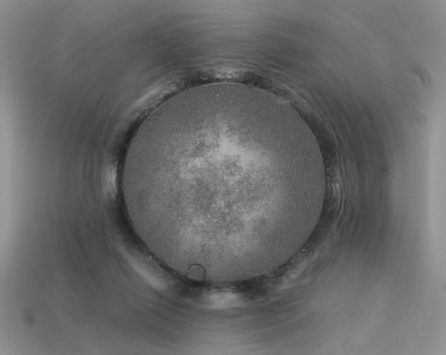 X0000113600262200909181358