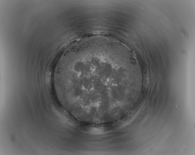 X0000113600263200909181358