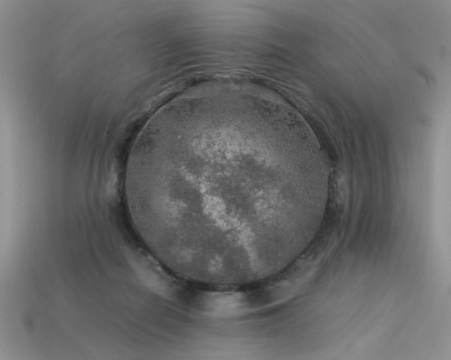 X0000113600266200909181358