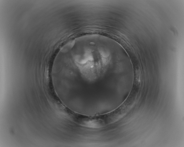 X0000113600267200909181358