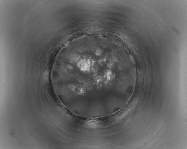 X0000113600269200909181358