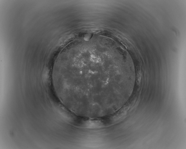 X0000113600270200909181358