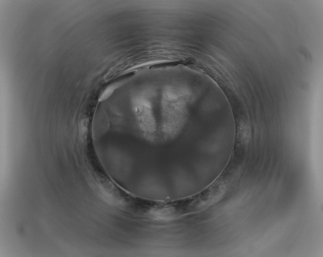 X0000113600271200909181358