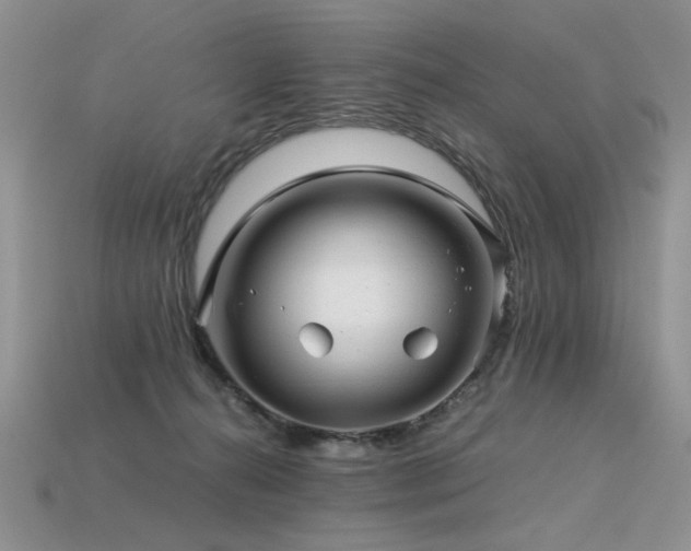 X0000113600272200909181358