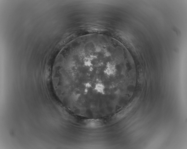 X0000113600273200909181358