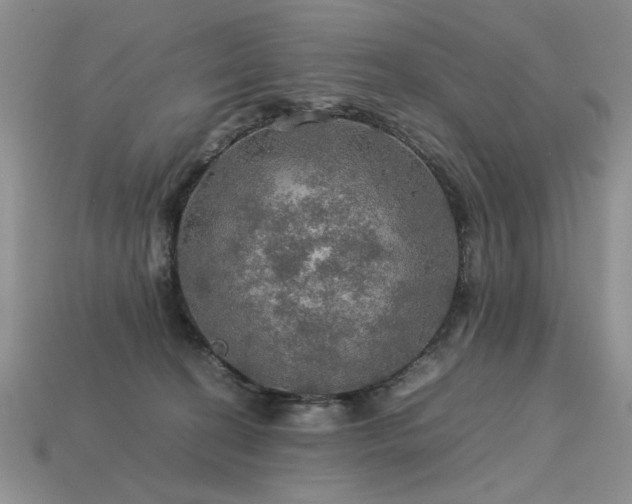 X0000113600274200909181358