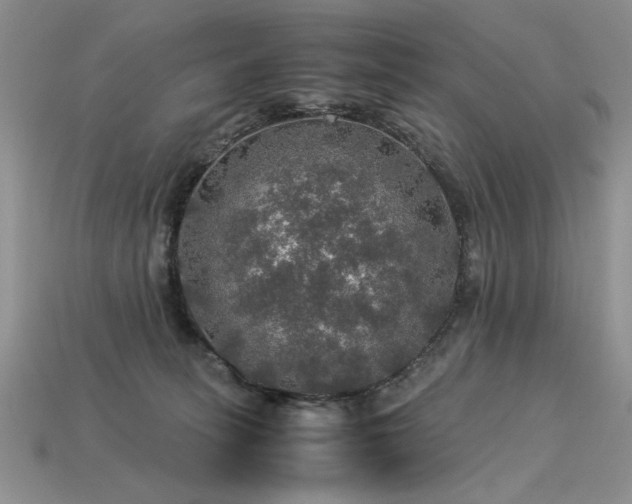 X0000113600275200909181358