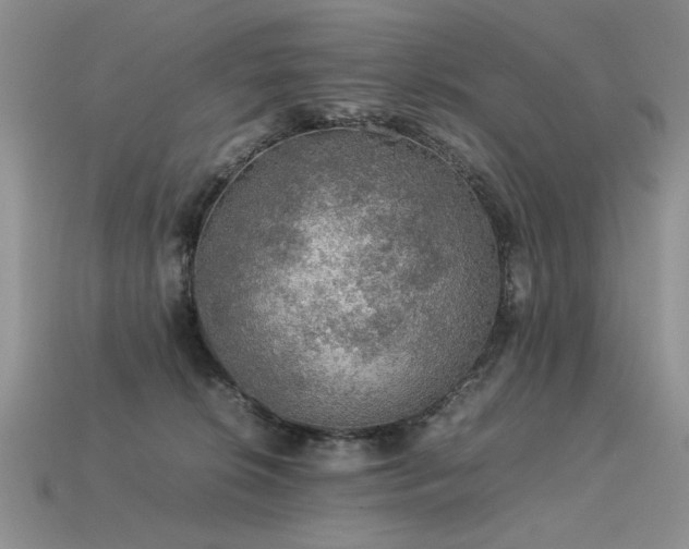 X0000113600276200909181358