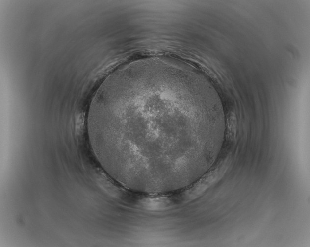 X0000113600278200909181358