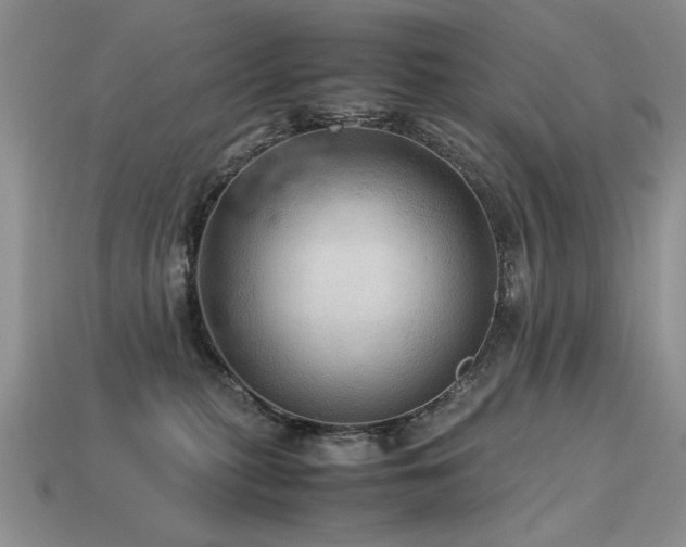 X0000113600279200909181358