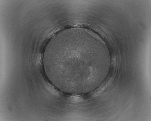 X0000113600280200909181358