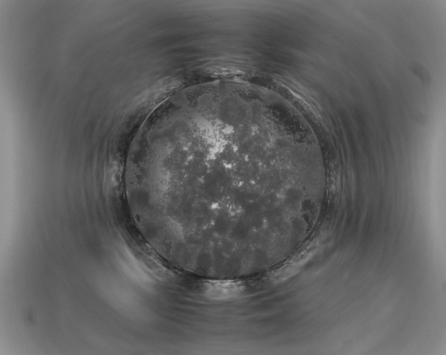 X0000113600281200909181358