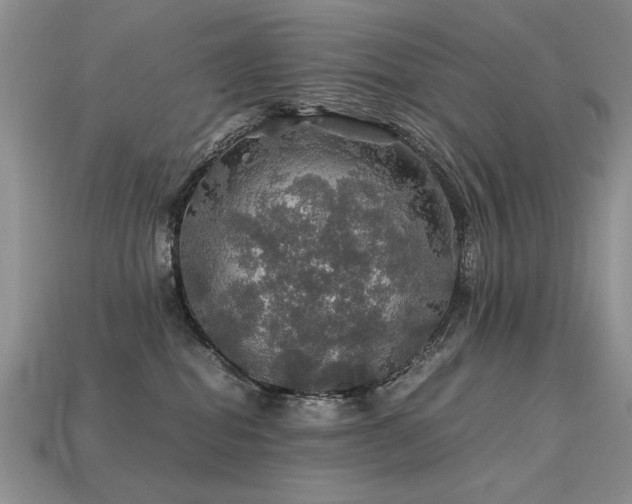 X0000113600282200909181358