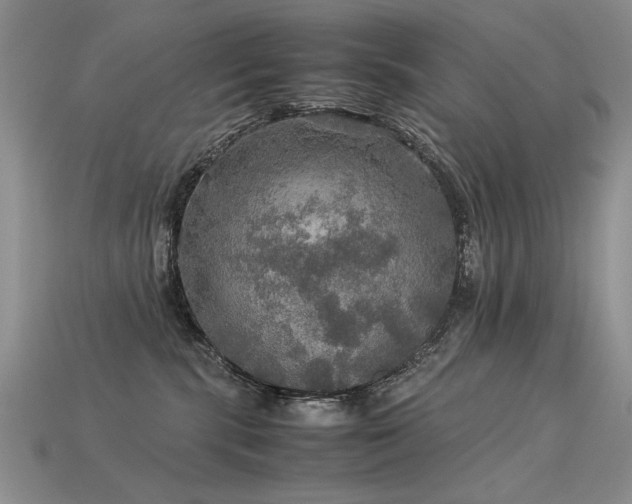 X0000113600283200909181358