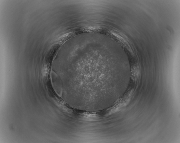 X0000113600284200909181358