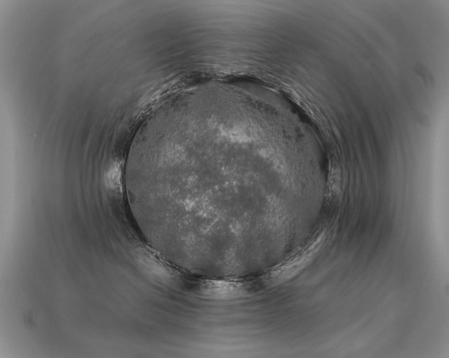 X0000113600286200909181358