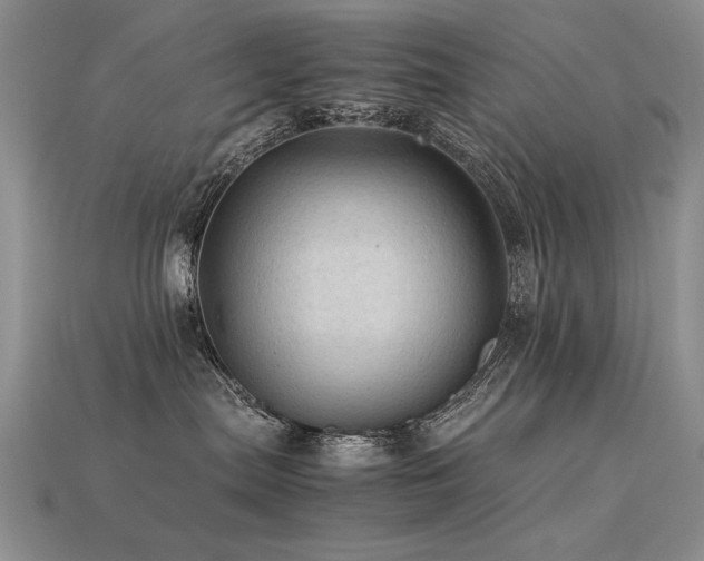 X0000113600287200909181358