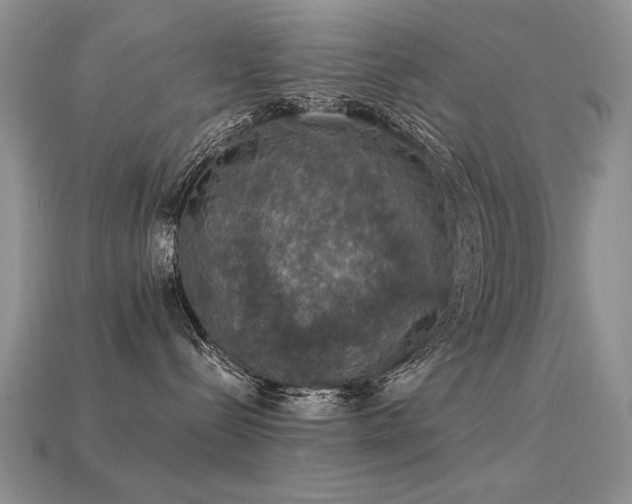 X0000113600288200909181358