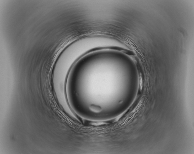 X0000113600289200909181357