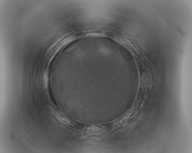 X0000113600290200909181357