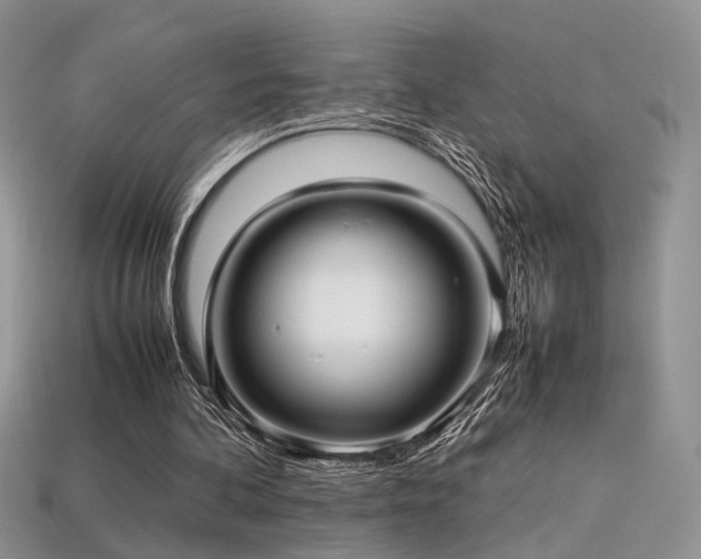 X0000113600292200909181357