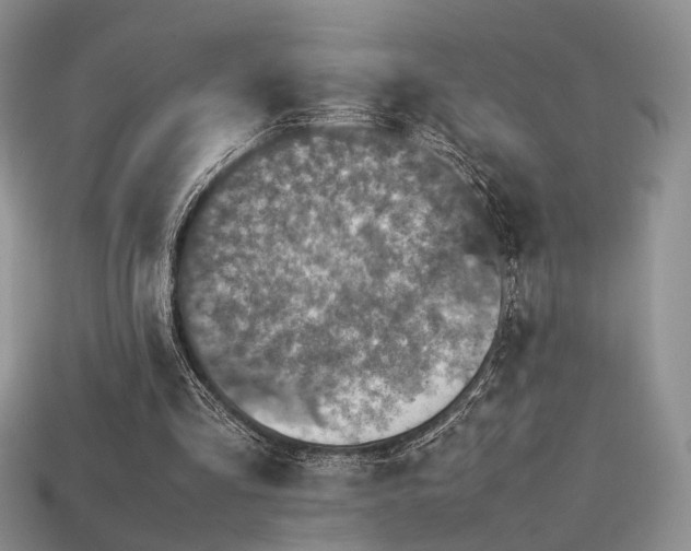 X0000113600293200909181357