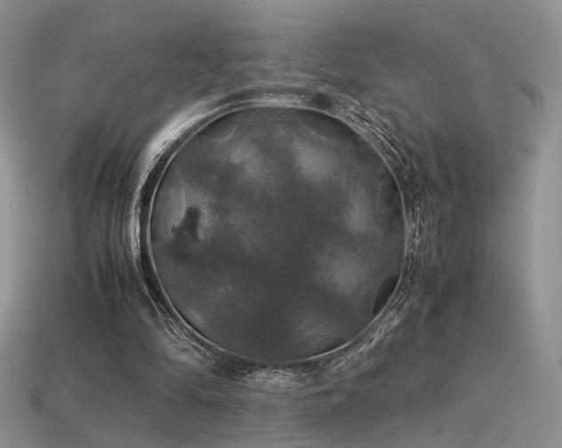 X0000113600294200909181357