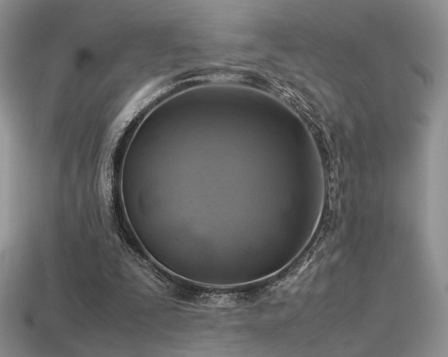 X0000113600295200909181357