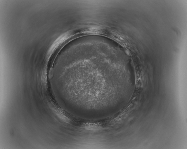 X0000113600296200909181357