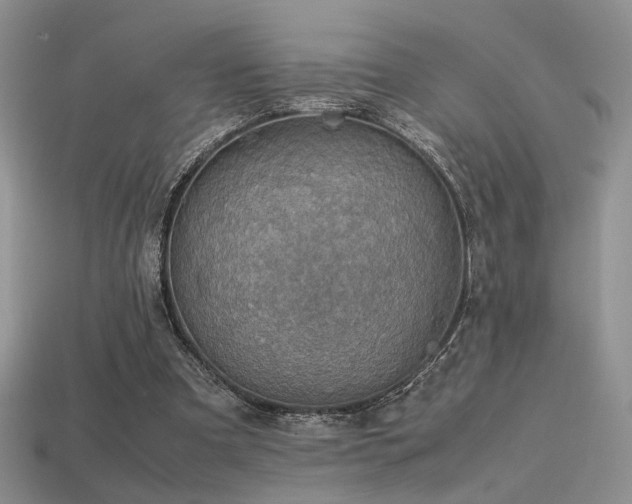 X0000113600297200909181357